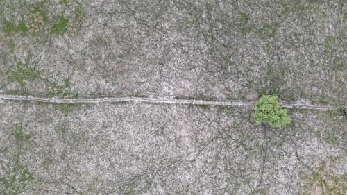 DJI_2872.JPG